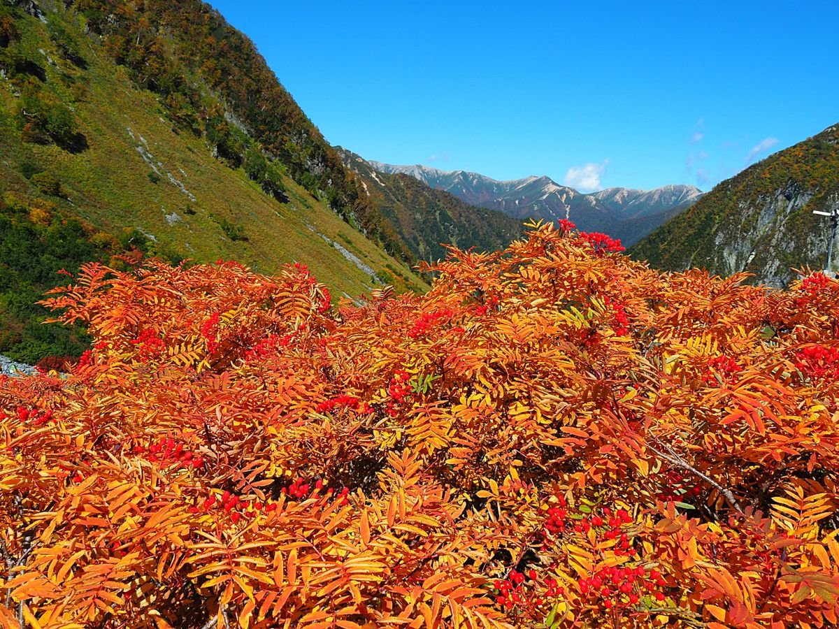 1日目は上高地を出発し、紅葉が有名な涸沢カールを通過すると、急勾配のザイテ...