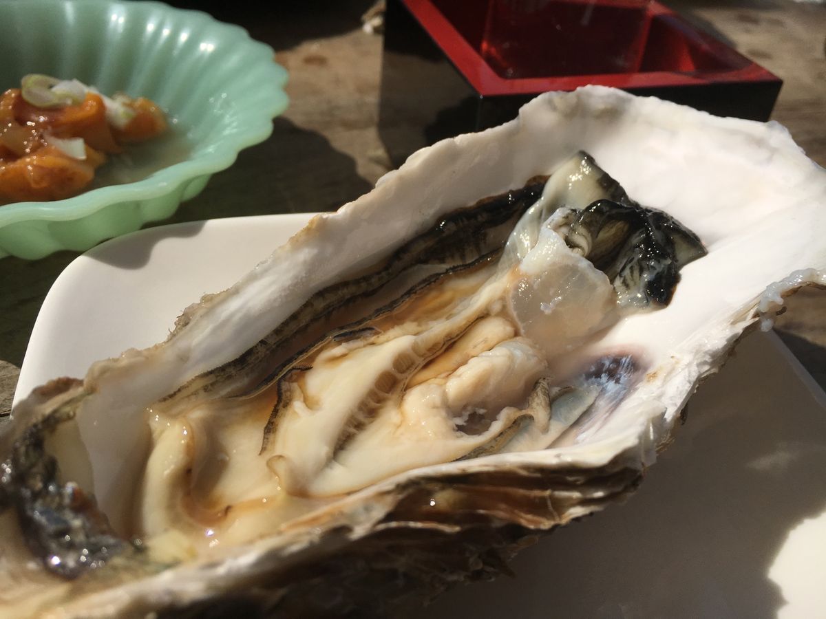 ちょっと日本酒で休憩