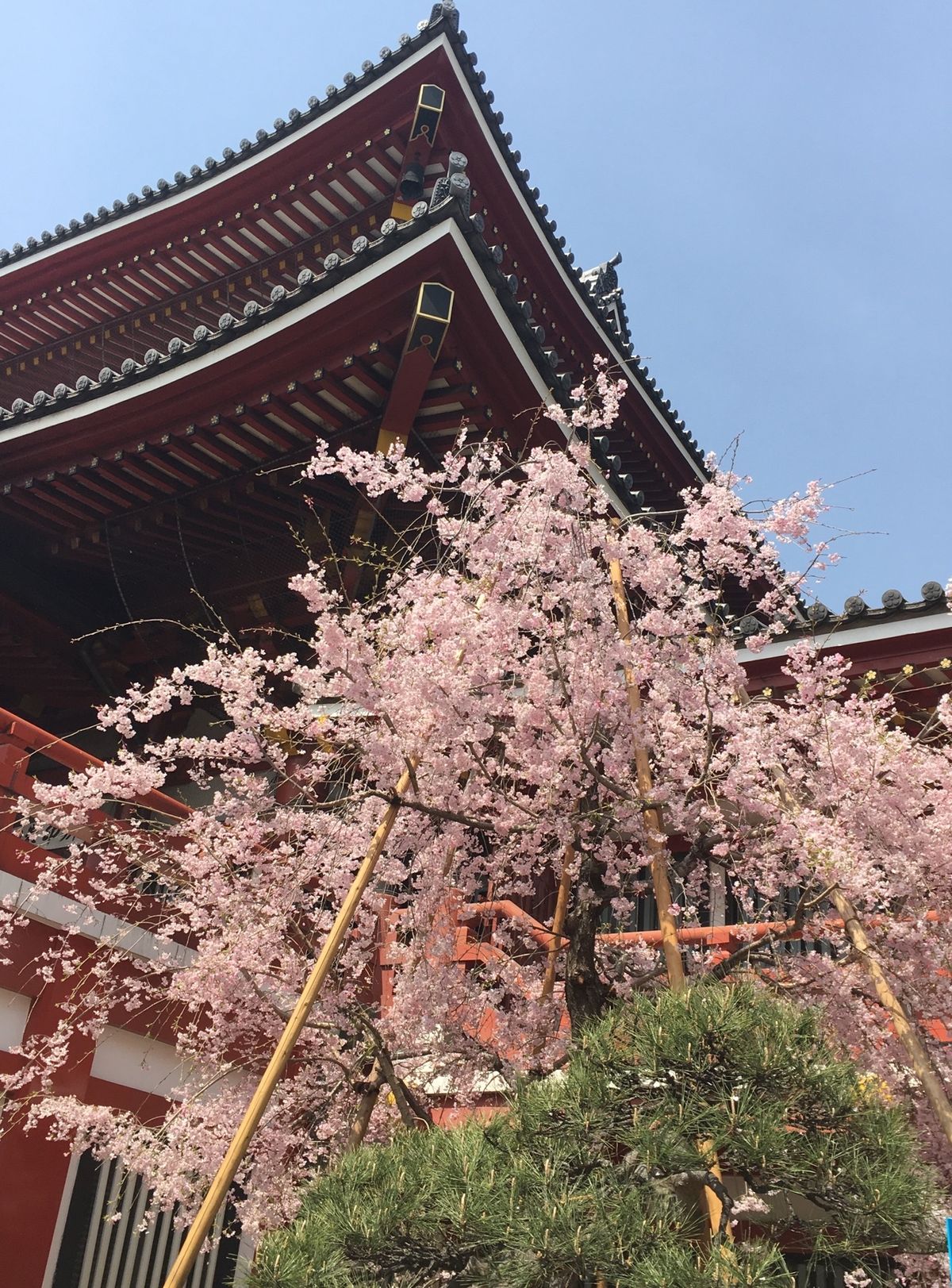 太鼓のイベントやってました。