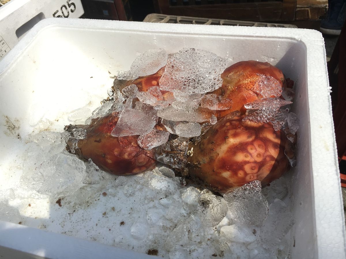 ちょっと日本酒で休憩