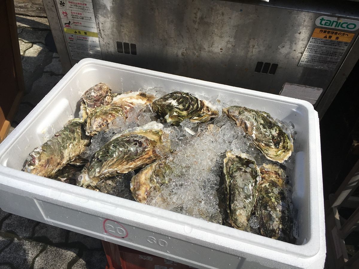 ちょっと日本酒で休憩