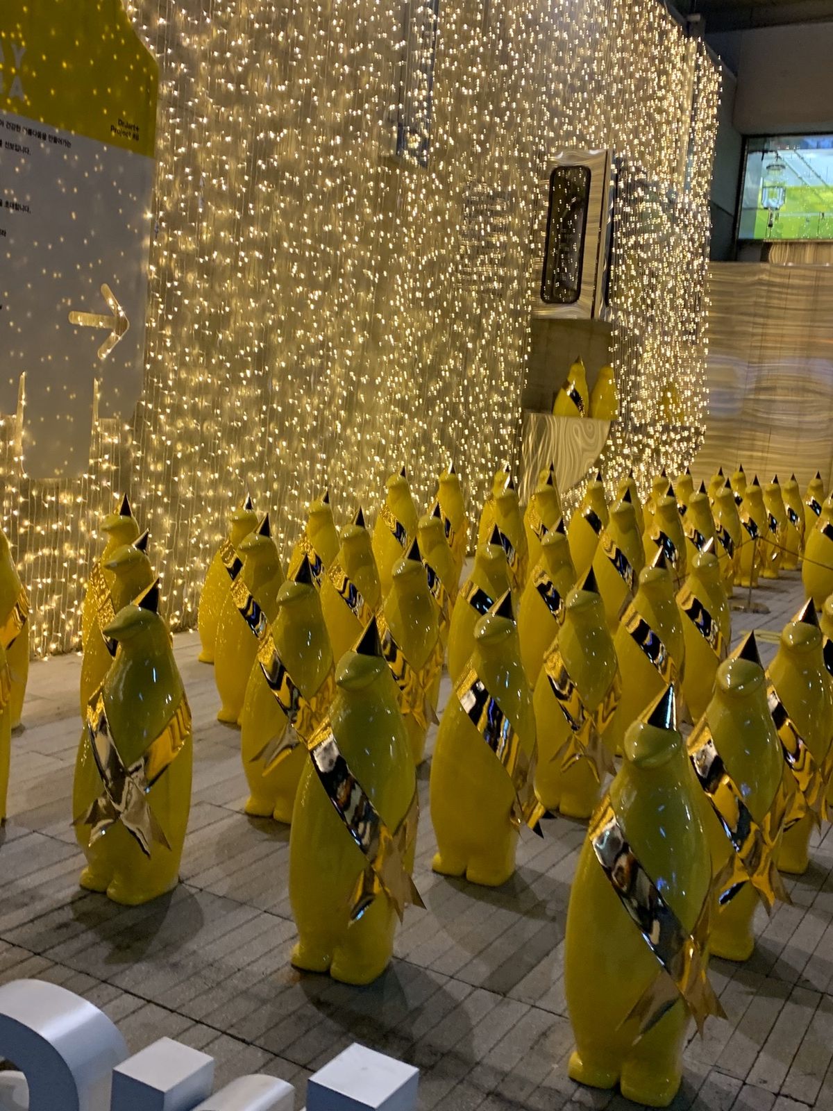 カロスキルを散策