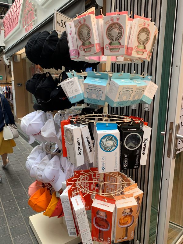 大韓民国 (韓国)・ソウル　「食べ物紀行」の写真