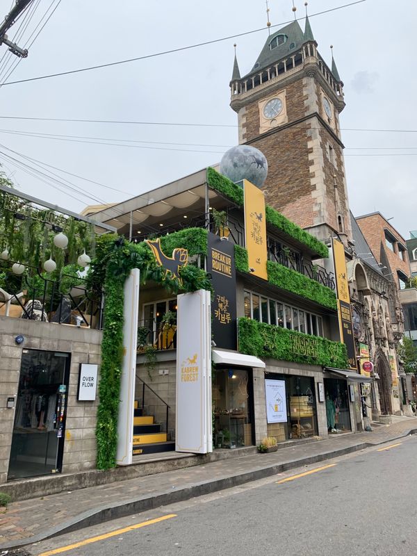 大韓民国 (韓国)・ソウル　「食べ物紀行」の写真：弘大、ハプチョン