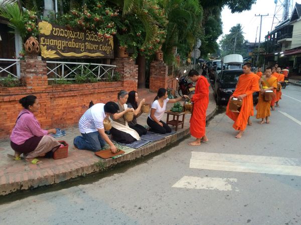 ラオス人民民主共和国・バンコク「2016タイ&ラオス陸路超え」の写真：ルアンパバーン。托鉢が間近に見られる。落...