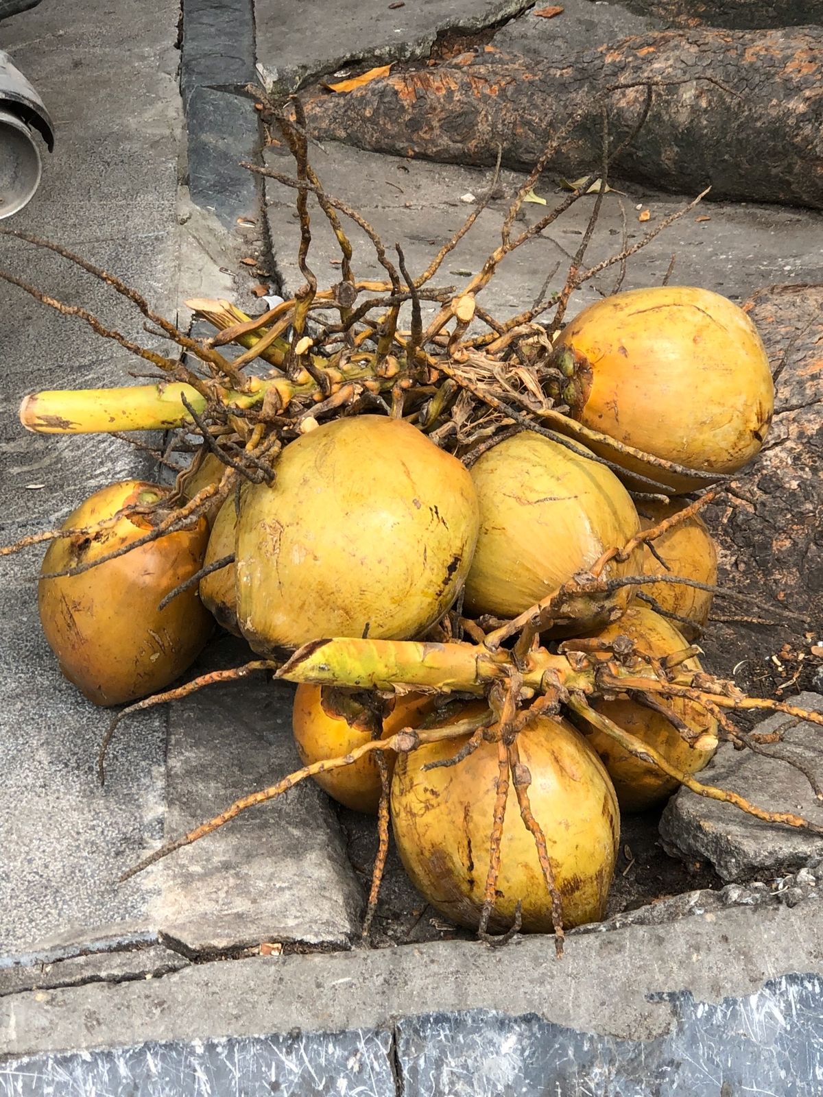 市場は楽しい‼️