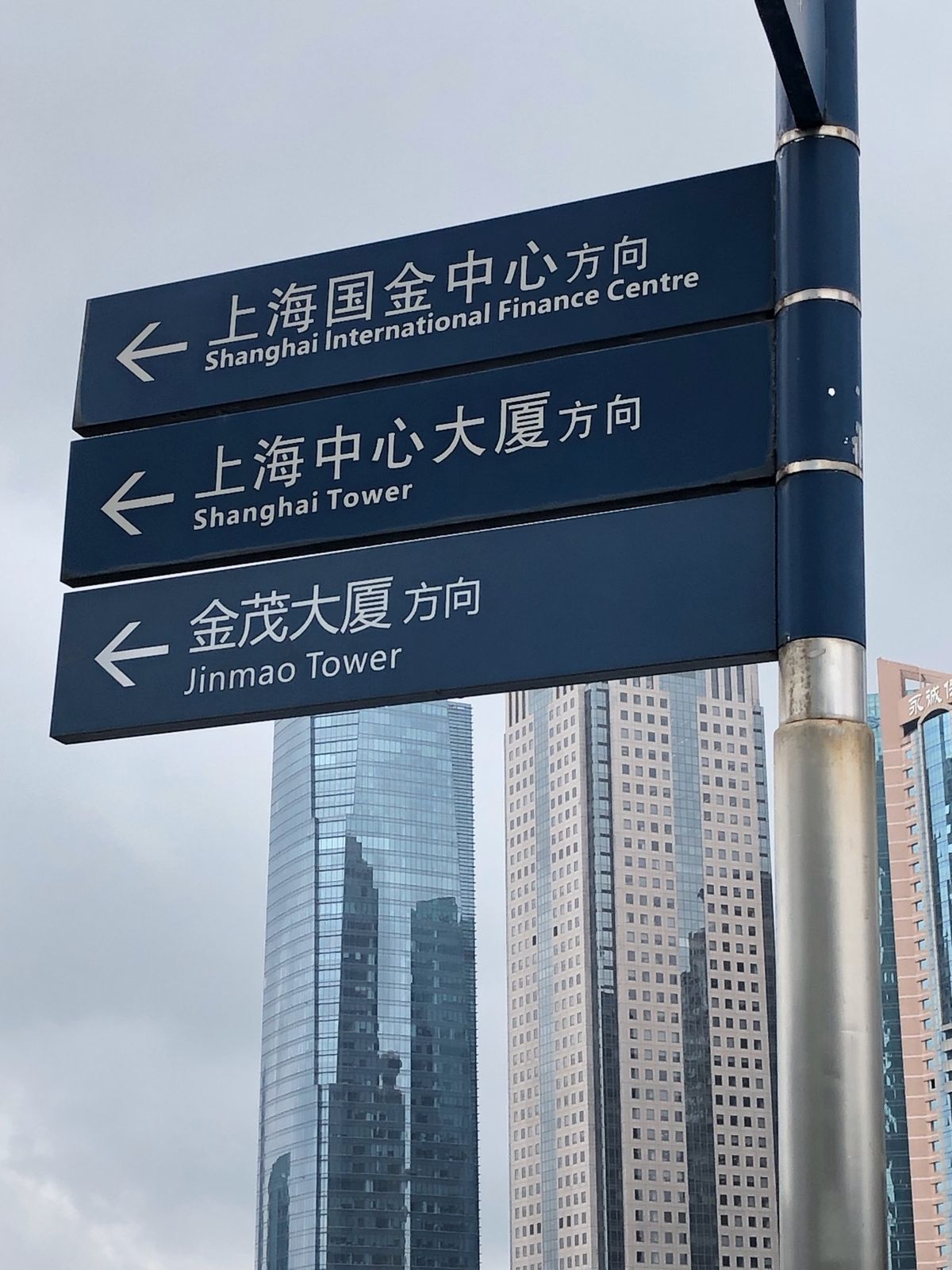 先端が雲の中。