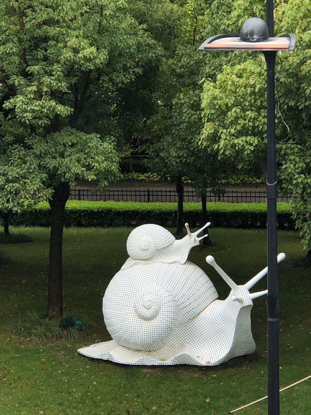 先端が雲の中。