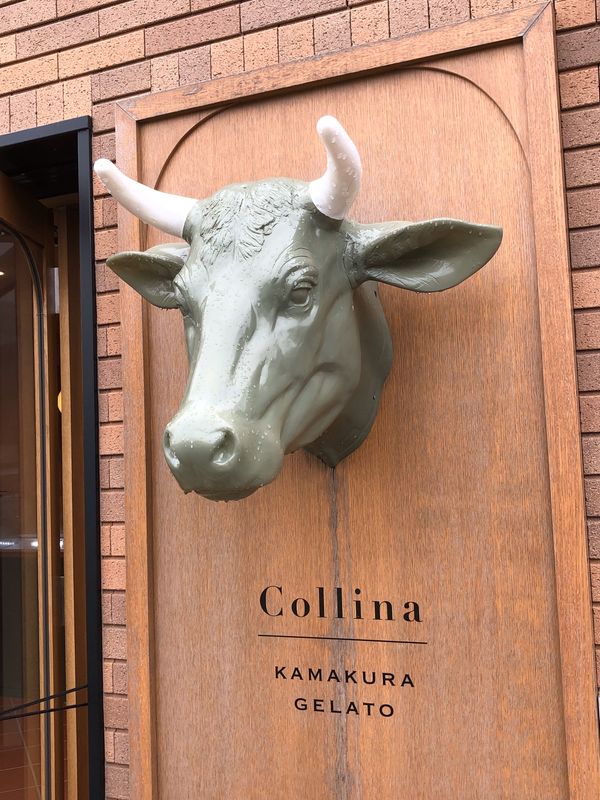 日本「「鎌倉散策」」の写真：飽きない❣️