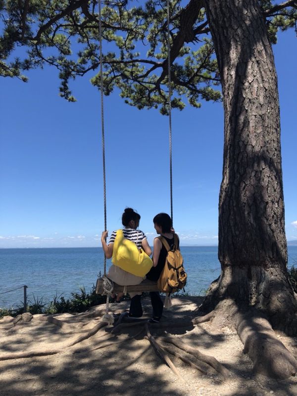 日本・南知多　「南知多⛴」の写真