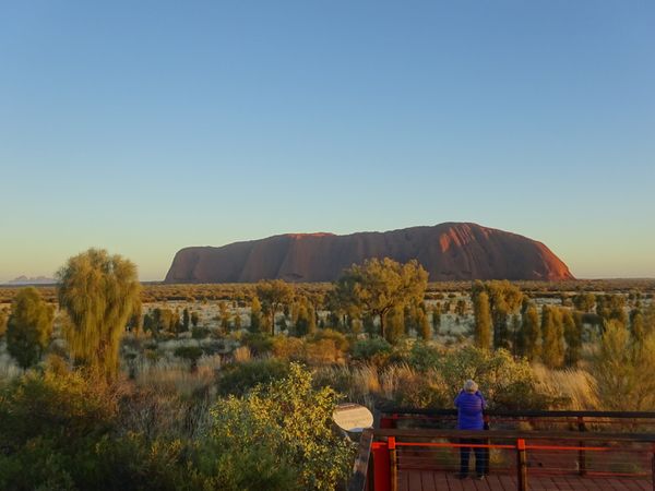 オーストラリア連邦・ゴールドコースト「オーストラリア🐨ワーホリ 」の写真