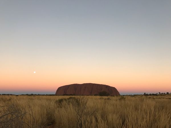 オーストラリア連邦・ゴールドコースト「オーストラリア🐨ワーホリ 」の写真