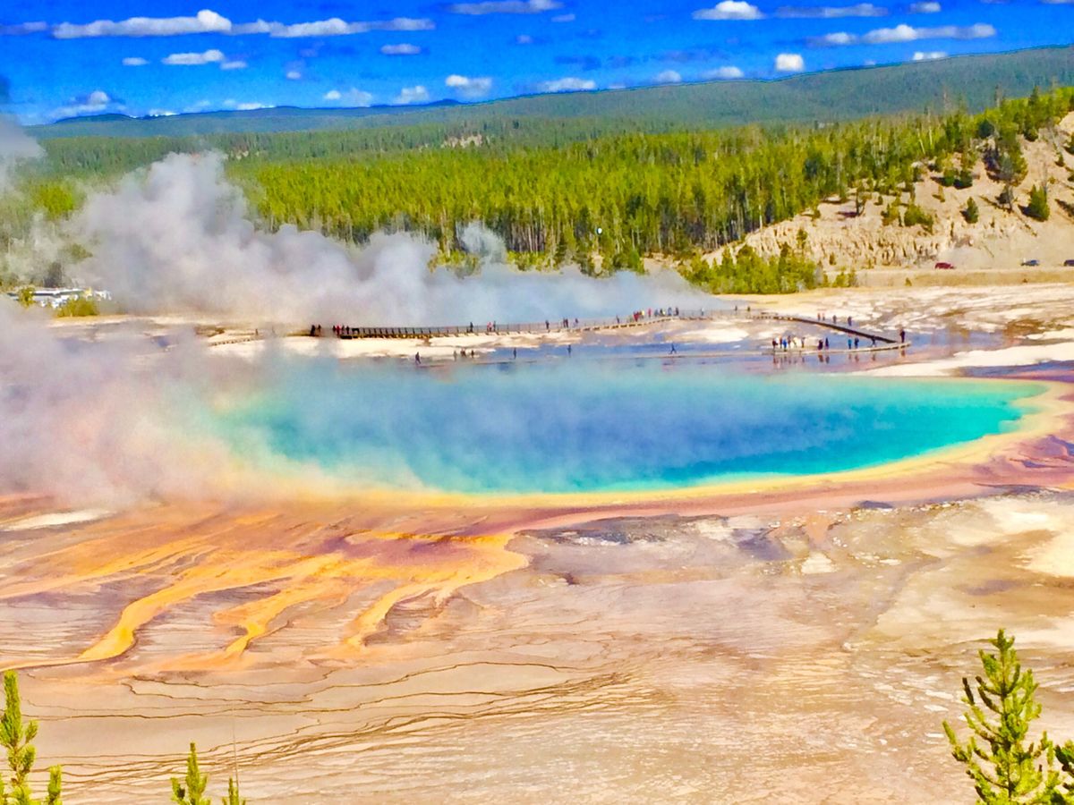 公園内の移動で1日何百キロも走るなんて、広過ぎる…。