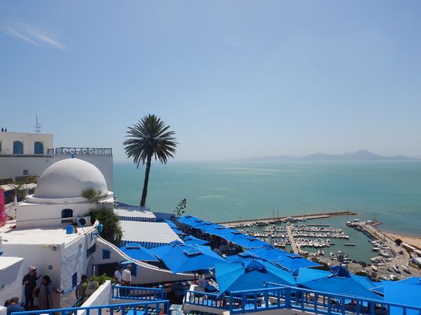チュニジア・Tunis「Tunis」の写真:SidiBouSaid
Le golf
