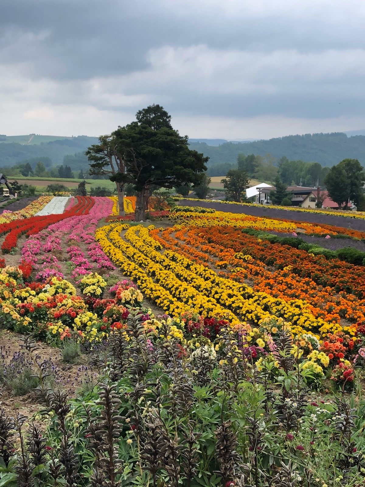 お花💐がキレイ❣️