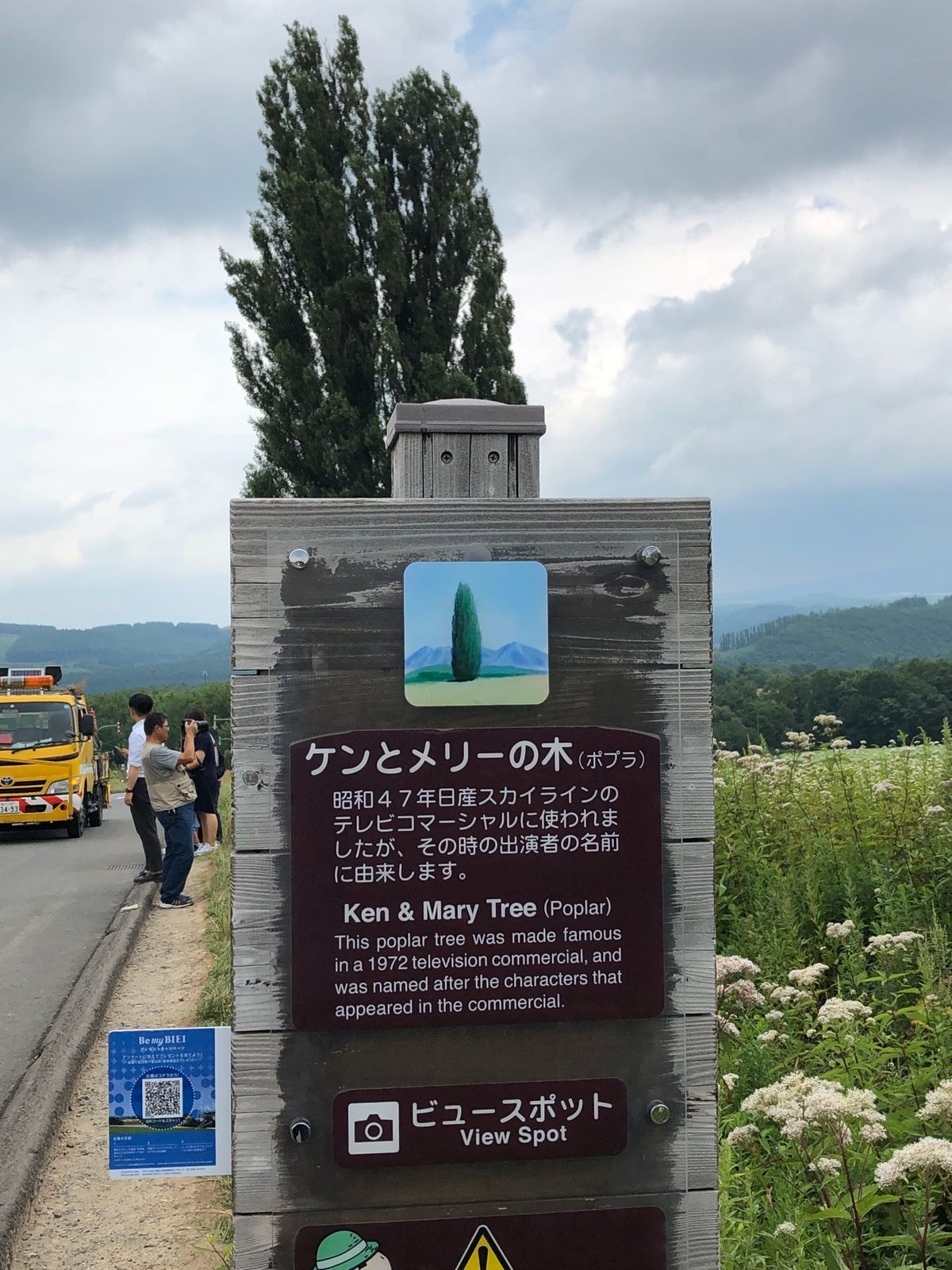 ひまわり🌻🌻満開‼️