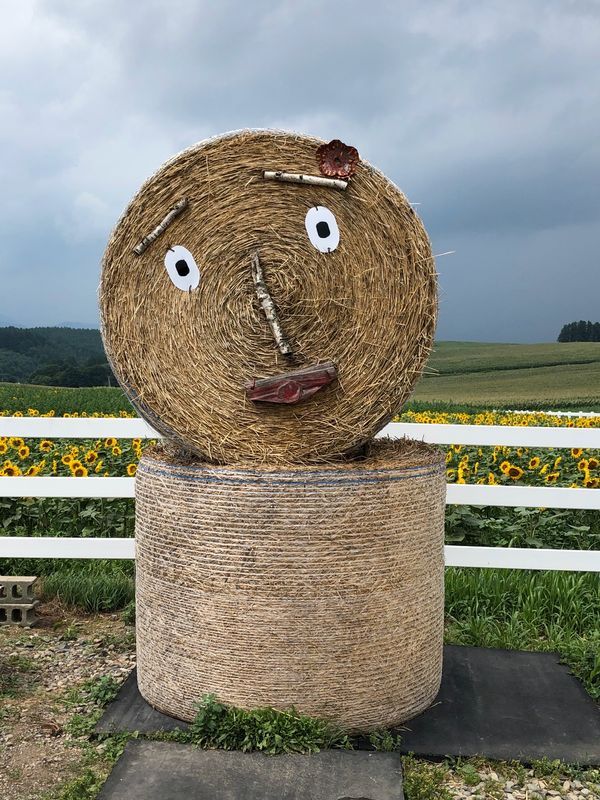 日本「「北海道旅行2019 ⑤」」の写真：牧草ロール、楽しめます‼️