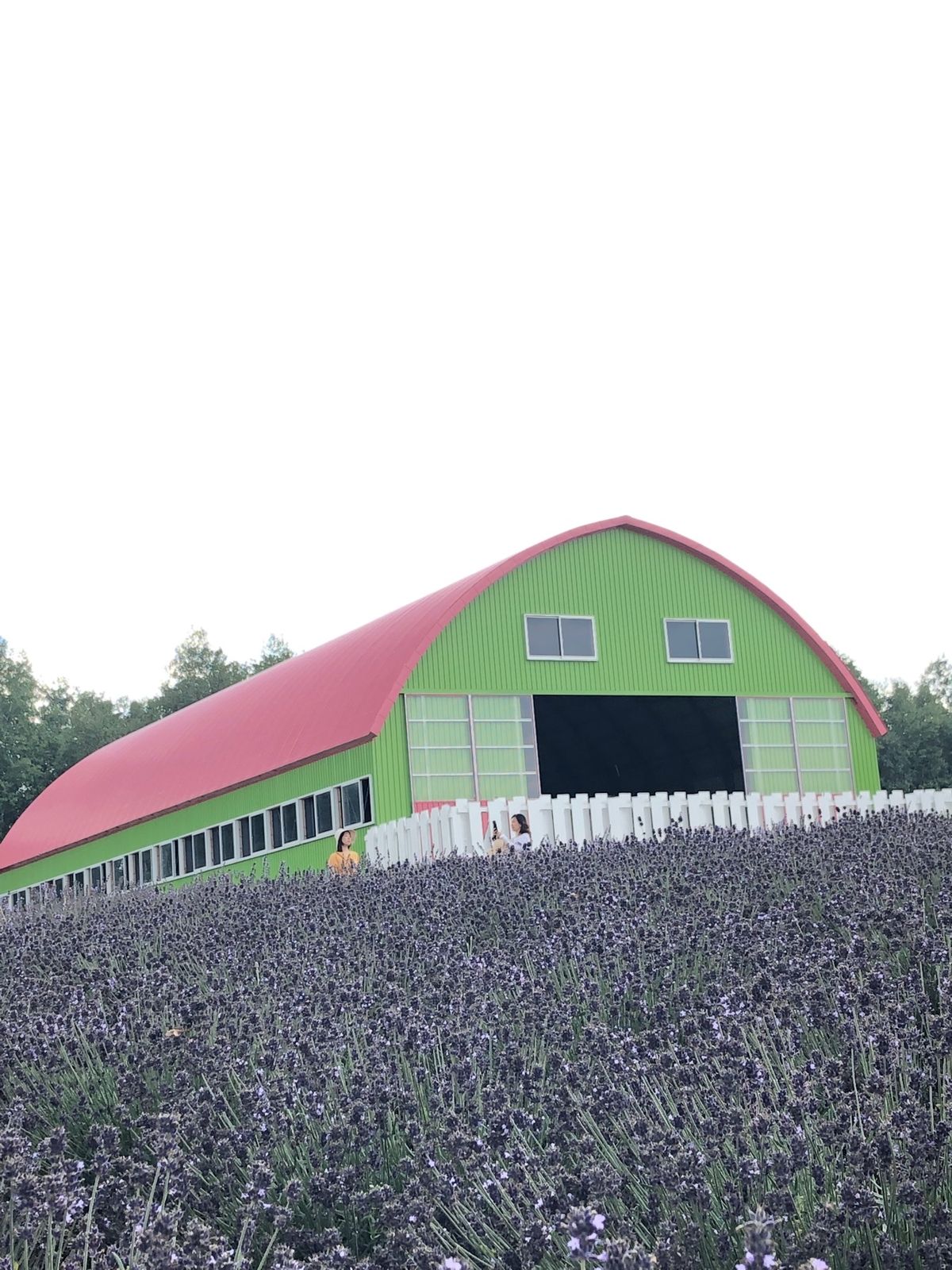 素晴らしい‼️以前よりさらにバージョンアップ❣️