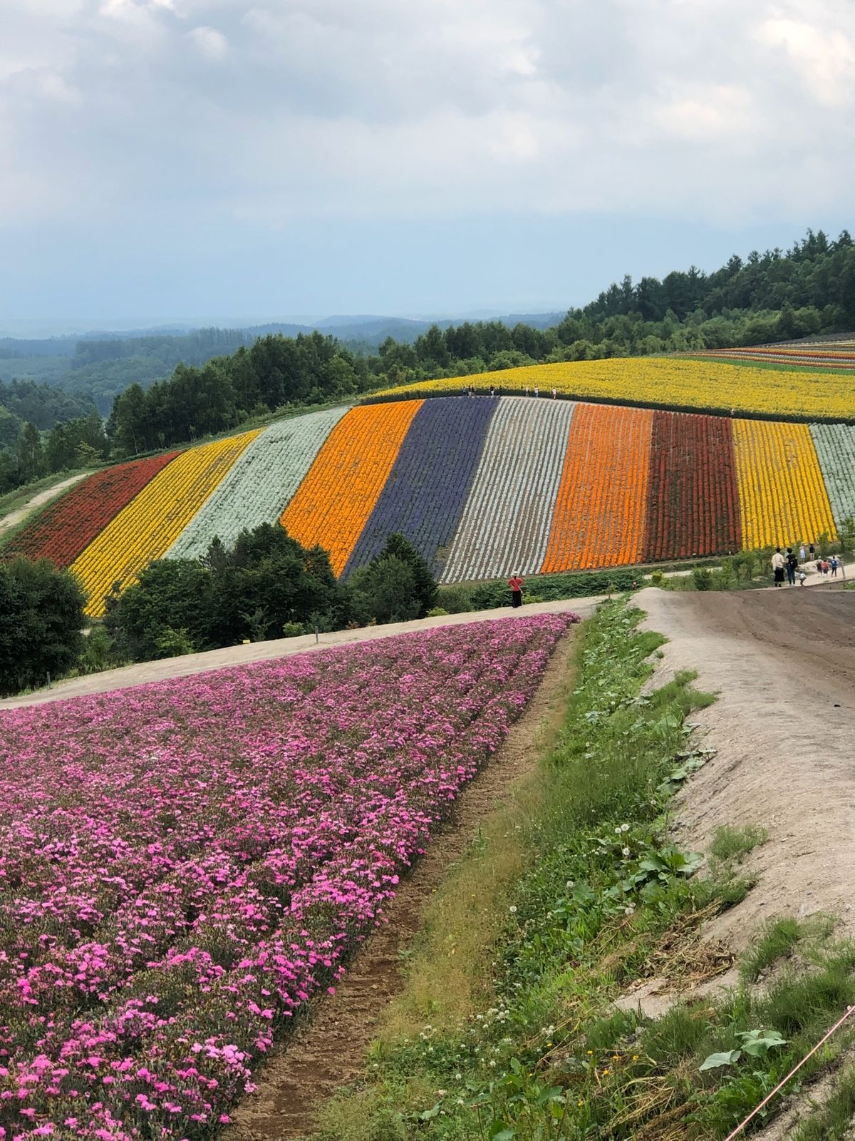 素晴らしい‼️以前よりさらにバージョンアップ❣️