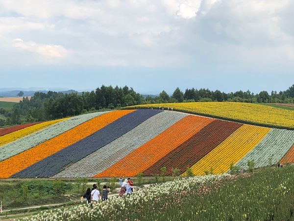 日本「「北海道旅行2019 ⑥」」の写真：素晴らしい‼️以前よりさらにバージョンア...