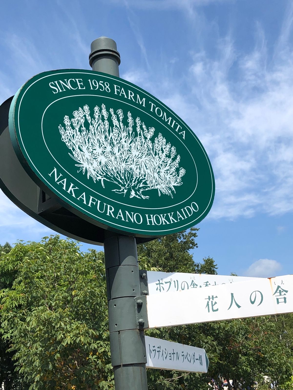 毎回、新しい感動があります‼️