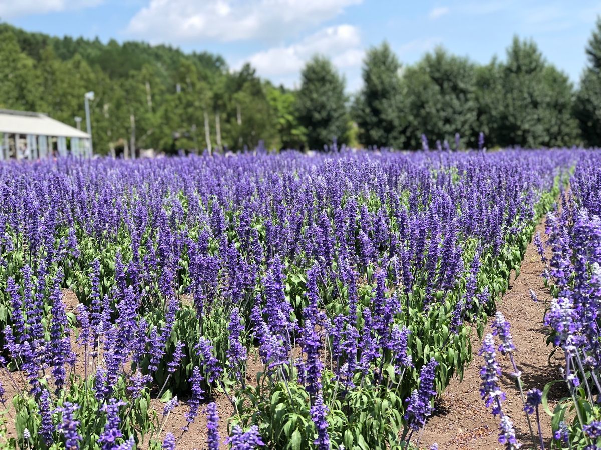 毎回、新しい感動があります‼️