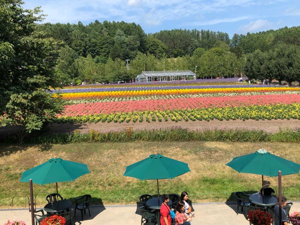 日本「「北海道旅行2019 ⑩」」の写真：毎回、新しい感動があります‼️