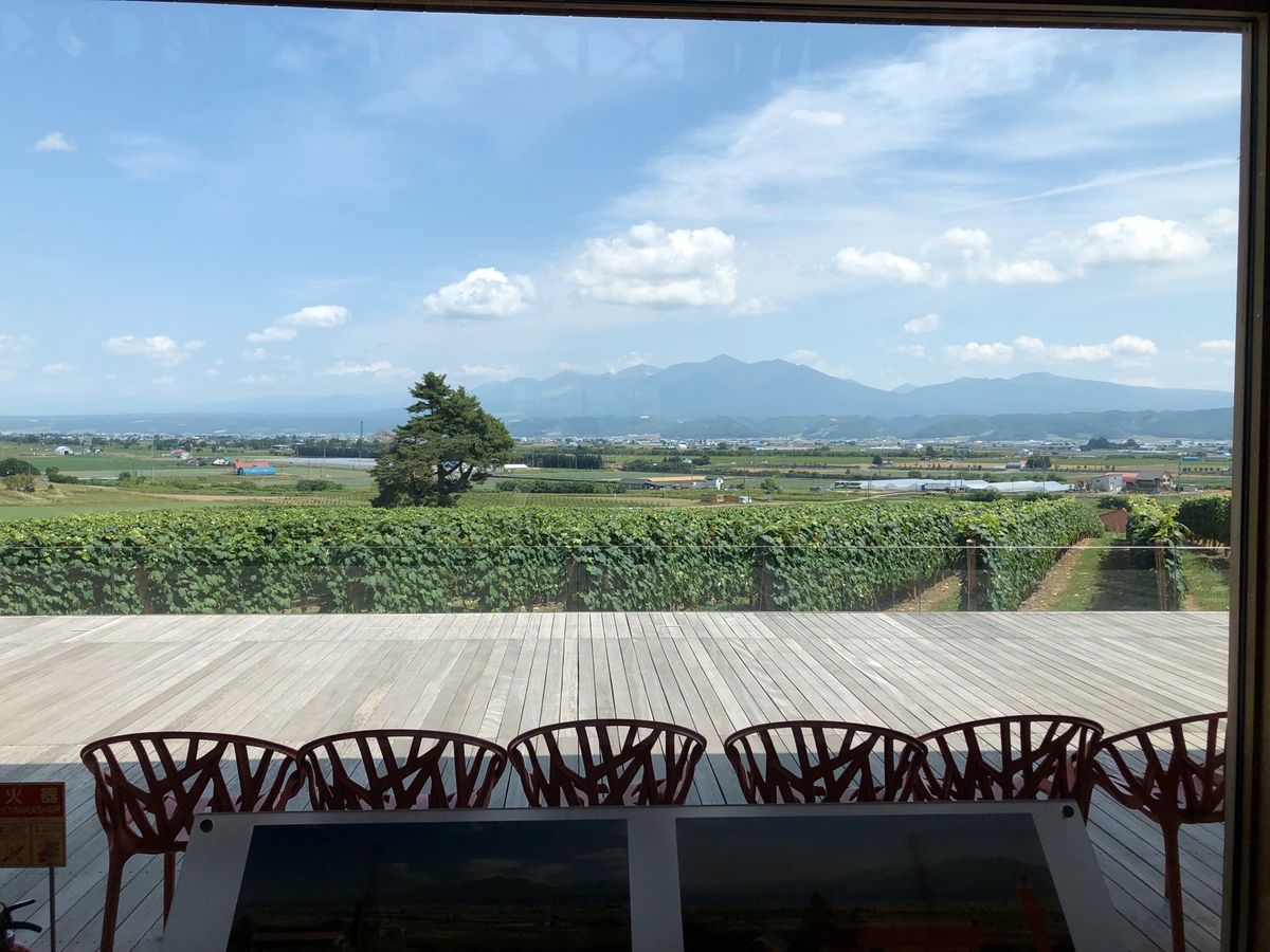 もっと、ゆっくりしたかった❣️