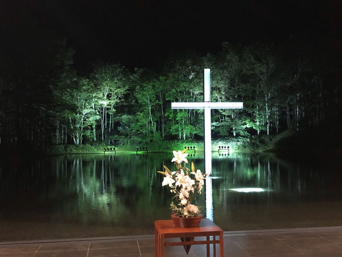 言葉はいらない❗️