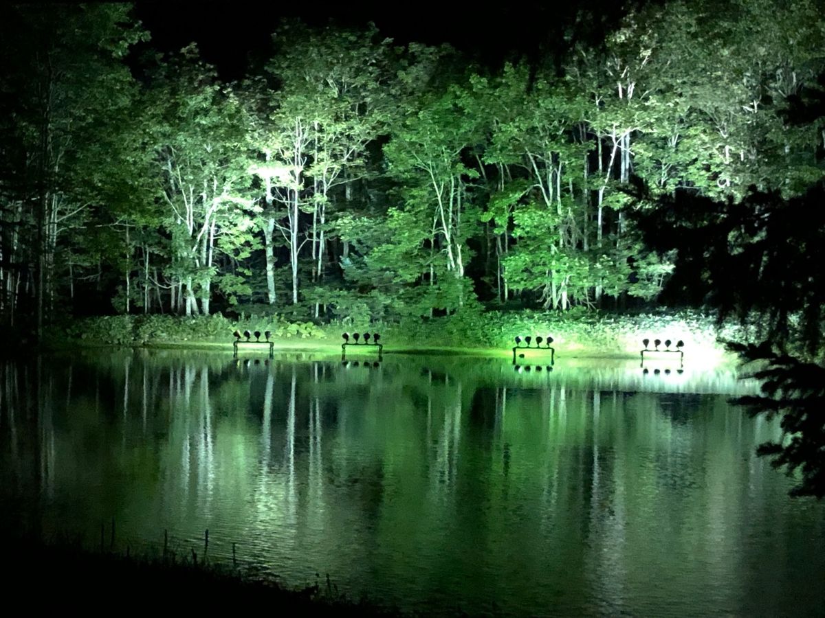 言葉はいらない❗️