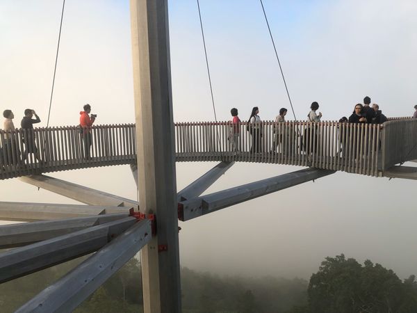 日本「「北海道旅行2019 (16)」」の写真：再トライしたい‼️