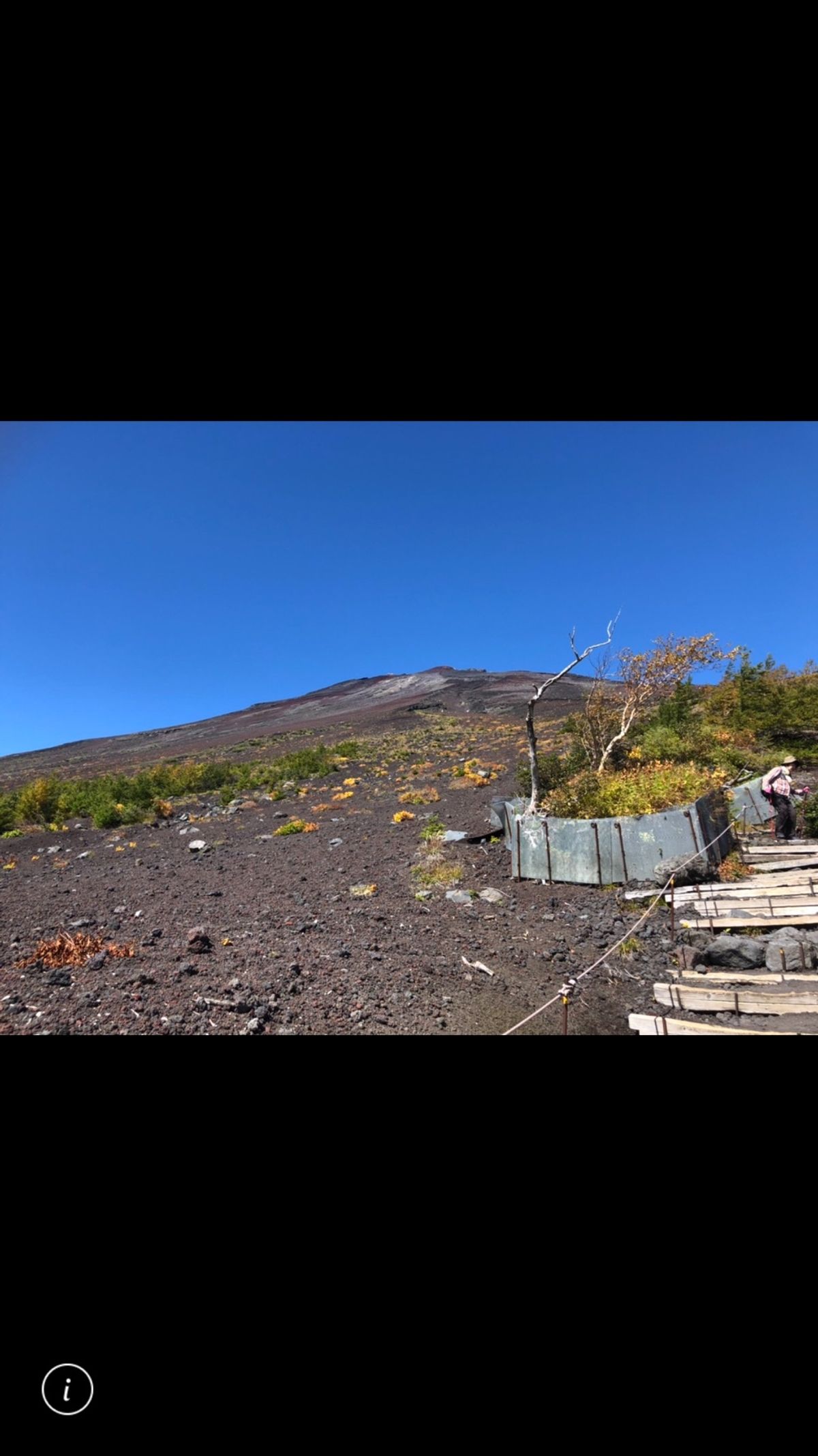 愛犬と一緒❣️