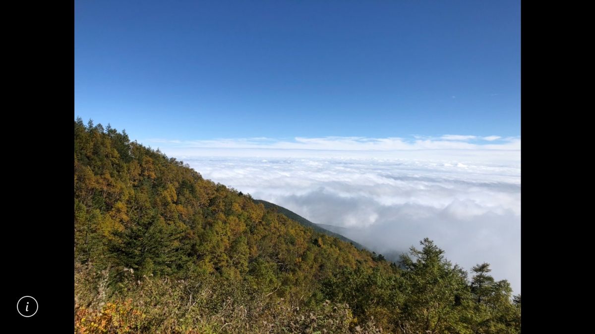 愛犬と一緒❣️