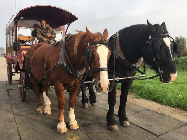 フランス・パリ「フランス」の写真