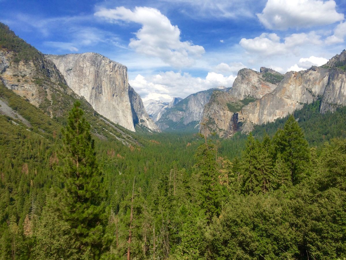 ヨセミテ国立公園。トレッキングして大自然を満喫。