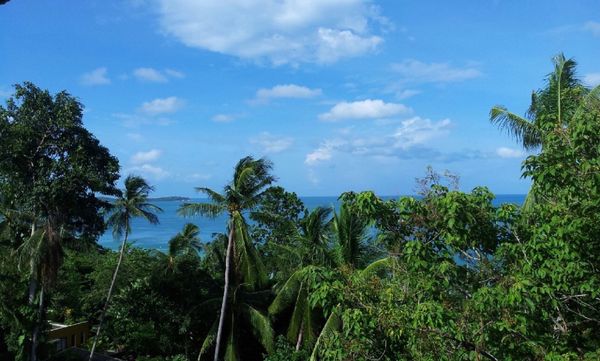 タイ「サムイ」の写真