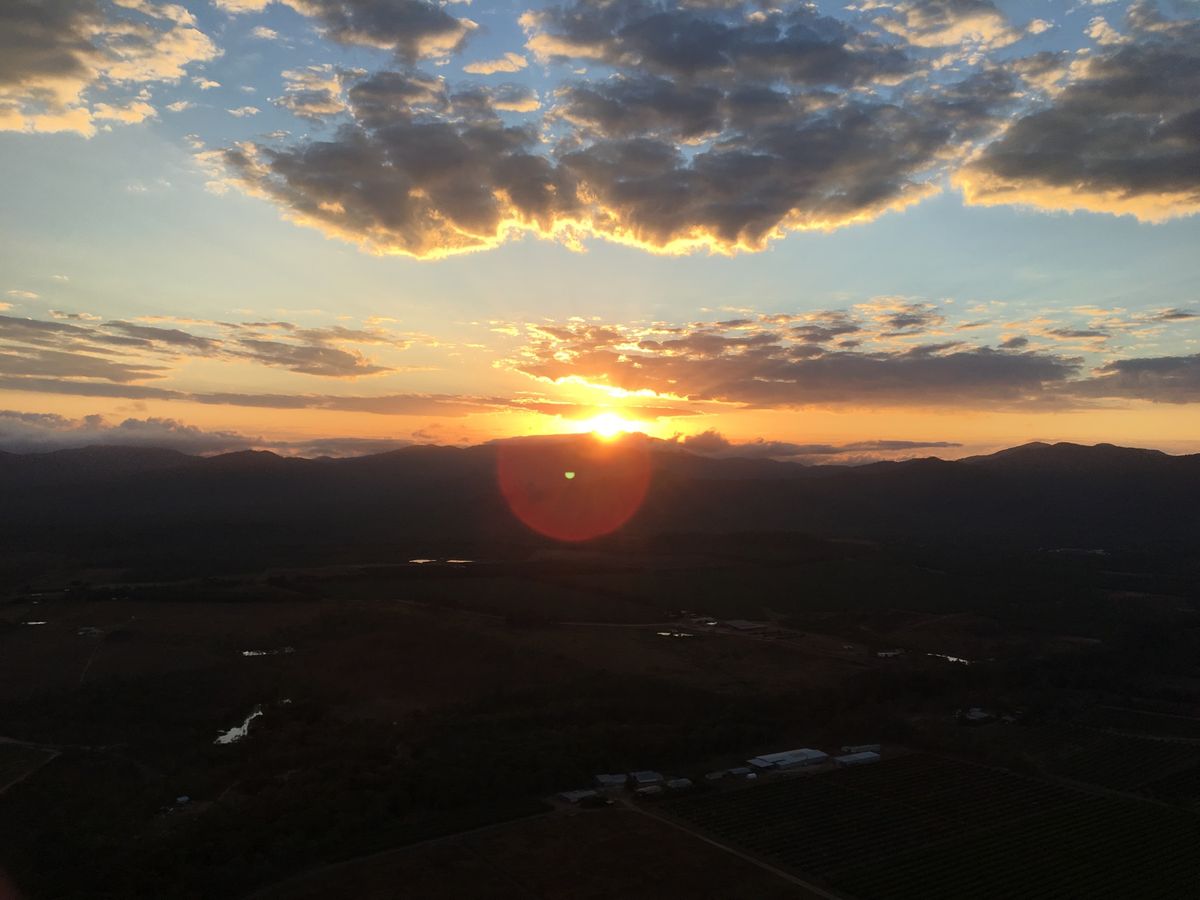 ケアンズ1日目。気球に乗って日の出観測！運が良ければカンガルーが大地を走っ...