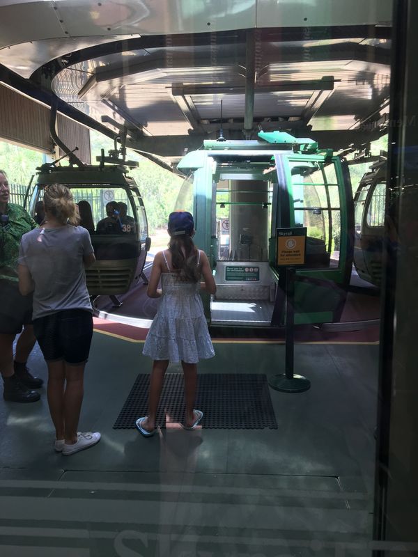 オーストラリア連邦・ケアンズ「オーストラリア　世界遺産巡り」の写真：キュランダ🌳熱帯雨林🌳
世界遺産のキュラ...