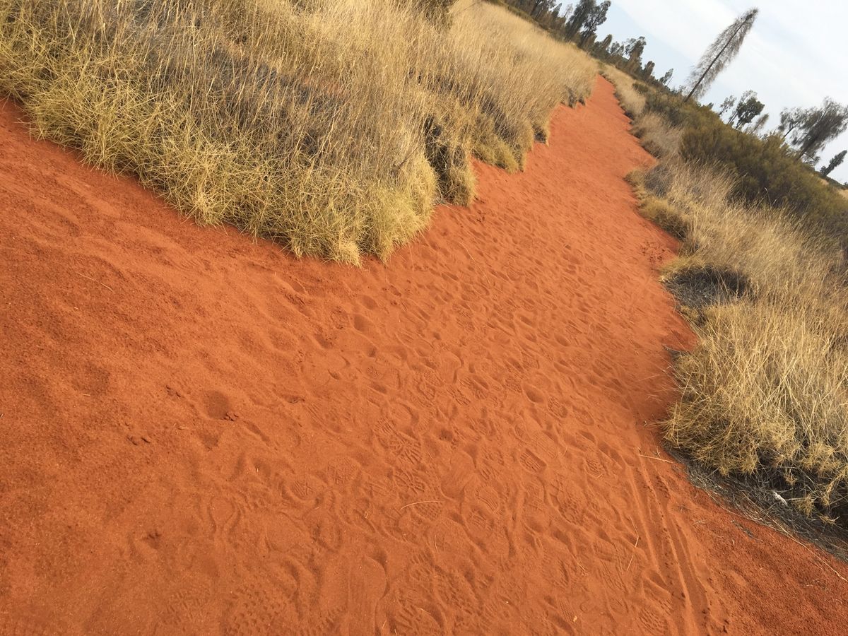 国内線でウルルへ✈️
エアーズロックを見に行きました。バスで宿泊先やショッ...