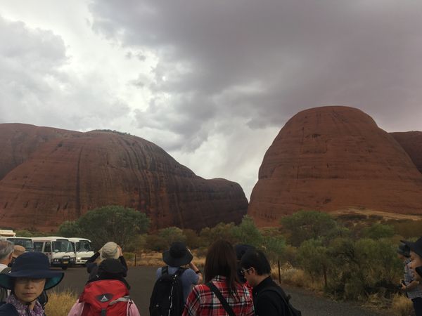 オーストラリア連邦・ケアンズ「オーストラリア　世界遺産巡り」の写真：砂漠地帯であまり雨は降らないそうなのです...