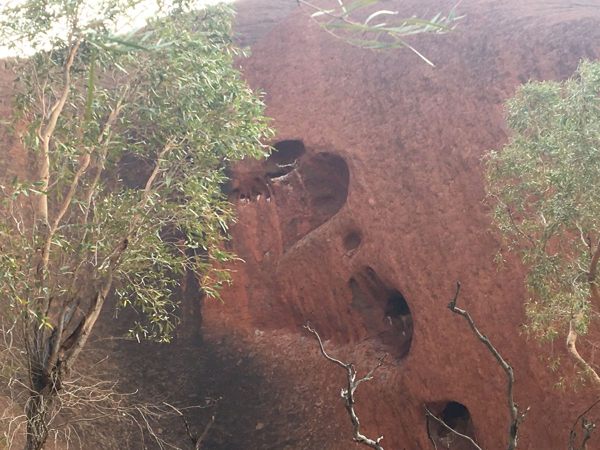 ウルル2日目。今度は日の出チャレンジ！！
が、雲が多く見れませんでした😭エ...