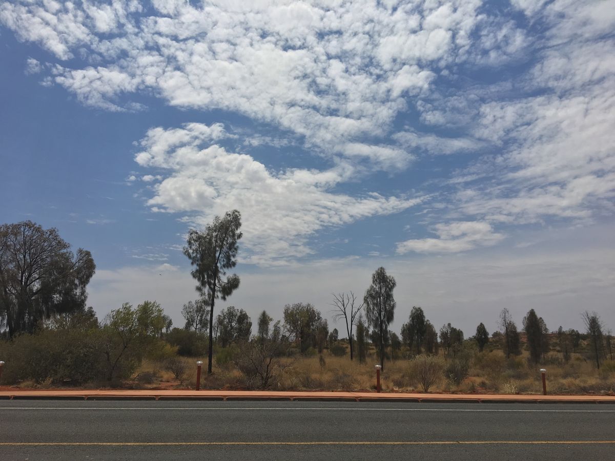 国内線でウルルへ✈️
エアーズロックを見に行きました。バスで宿泊先やショッ...
