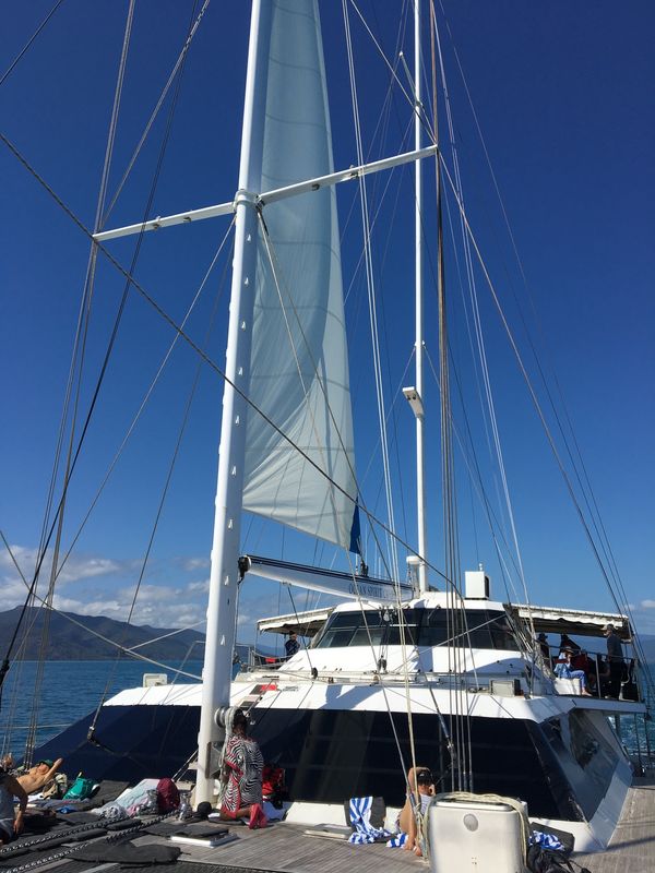 オーストラリア連邦・ケアンズ「オーストラリア　世界遺産巡り」の写真：待ちに待ったグレートバリアリーフ🐠
白い...