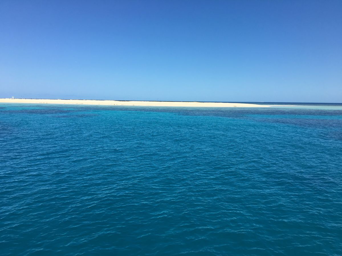 待ちに待ったグレートバリアリーフ🐠
白い砂の島、ミコマスケイに行き、ダイビ...