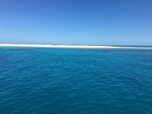 待ちに待ったグレートバリアリーフ🐠
白い砂の島、ミコマスケイに行き、ダイビ...