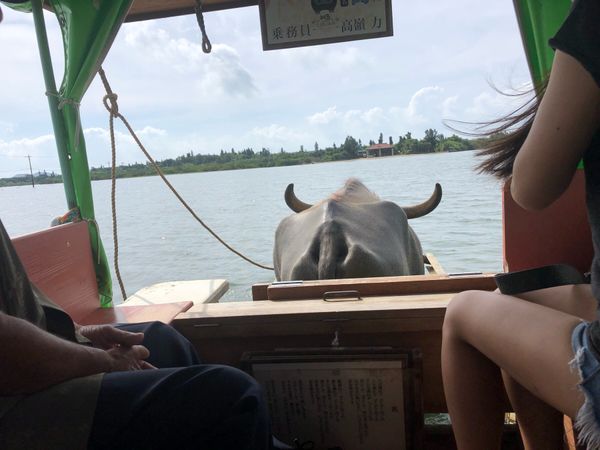 日本・沖縄「西表島の自然にふれる旅」の写真