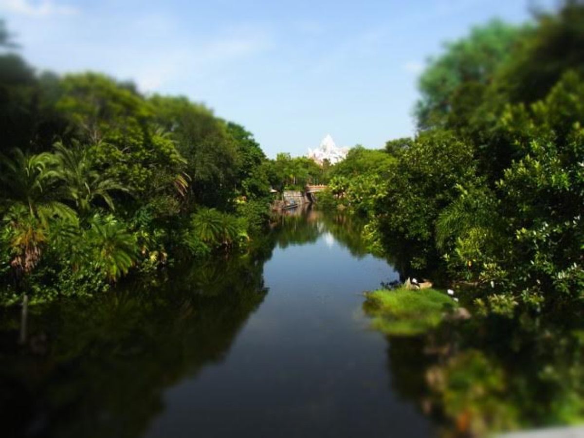 5日目🇺🇸WDW
たしかこの日に寝坊して、朝から行くはずが昼頃に💦
アニマ...