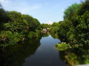 5日目🇺🇸WDW
たしかこの日に寝坊して、朝から行くはずが昼頃に💦
アニマ...