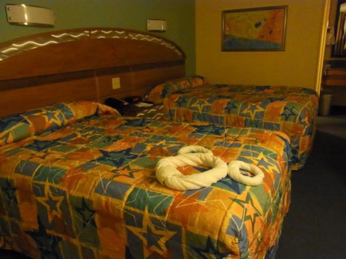 4日目🇺🇸念願のウォルトディズニーワールド
国内線でフロリダへ✈️行ってみ...