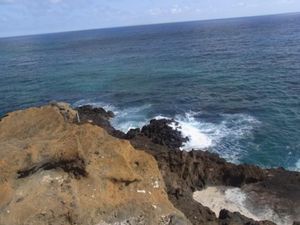 ♪この木なんの木〜で有名な(？)モアナルアガーデンパーク🌴
ほんとーに大き...